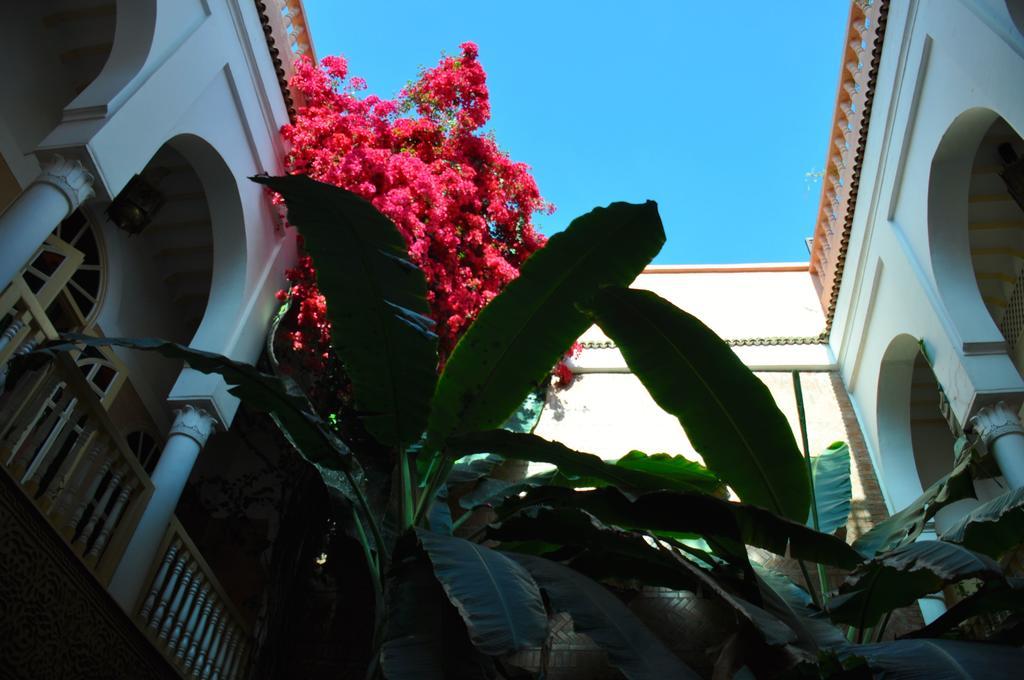מרקש Riad Habib מראה חיצוני תמונה