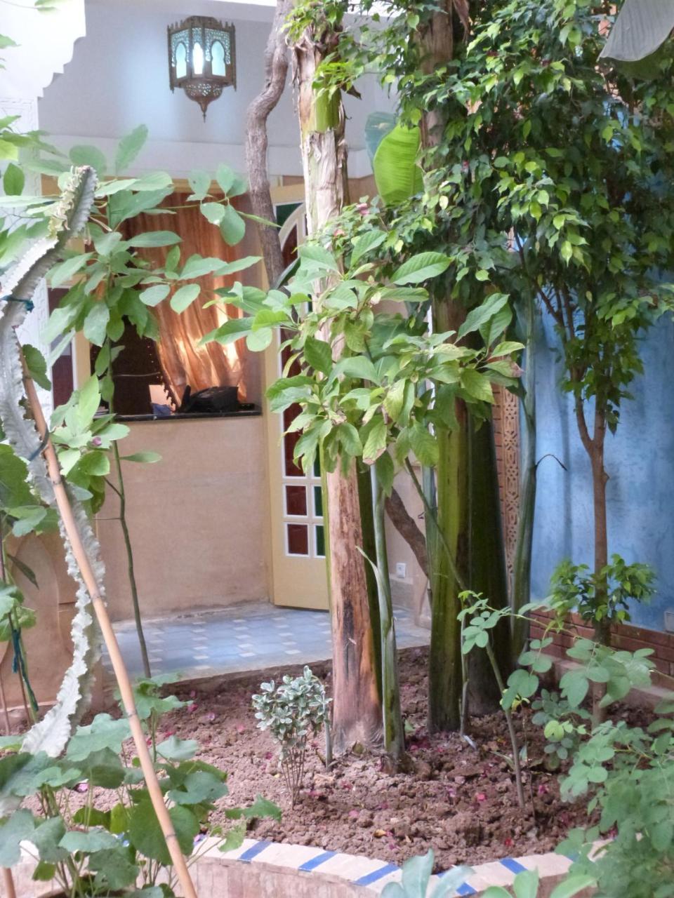 מרקש Riad Habib מראה חיצוני תמונה